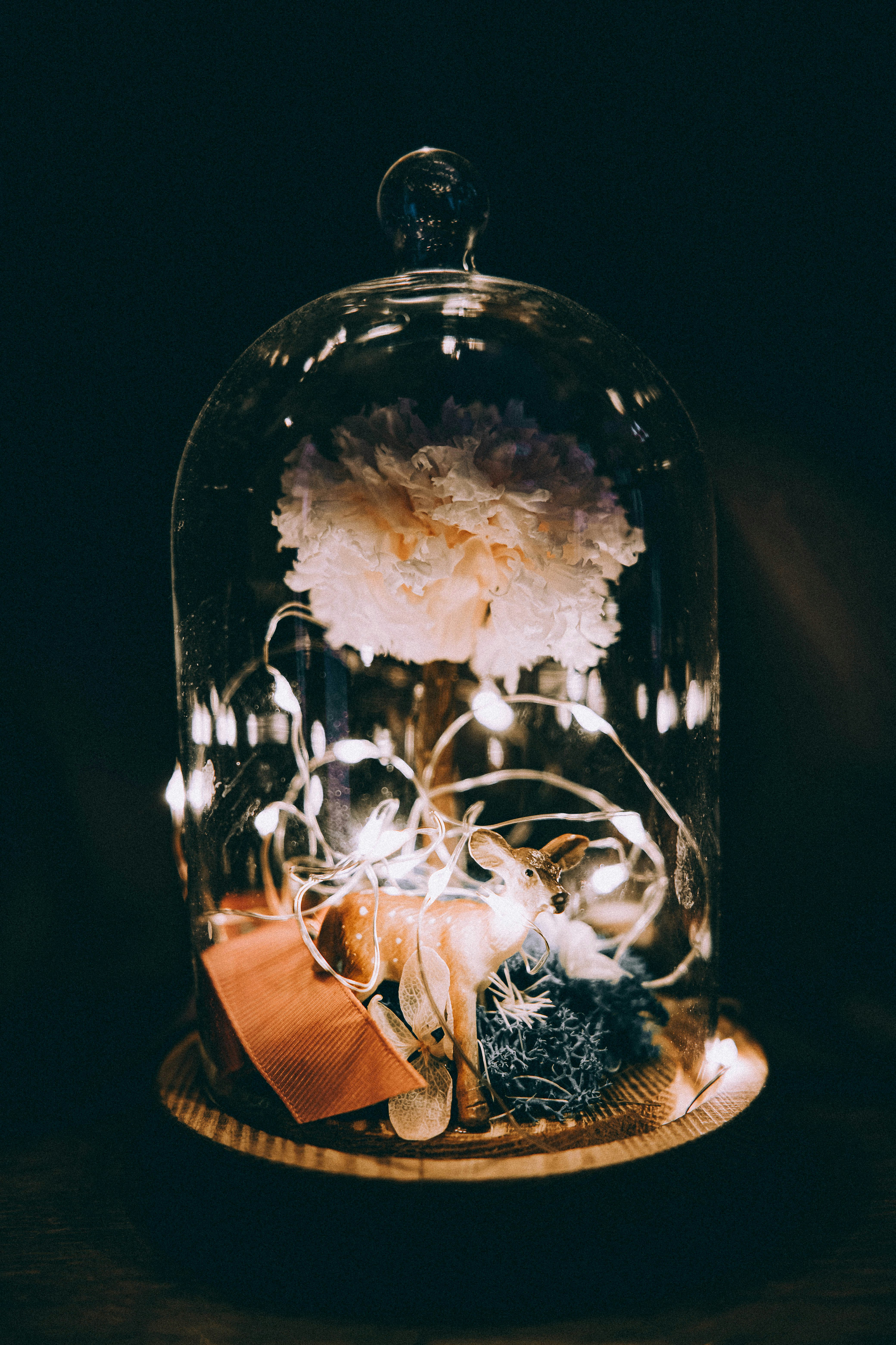 white and brown flower in clear glass vase